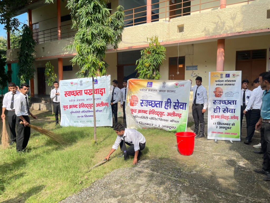 Mass Image Compressor, Quality:80