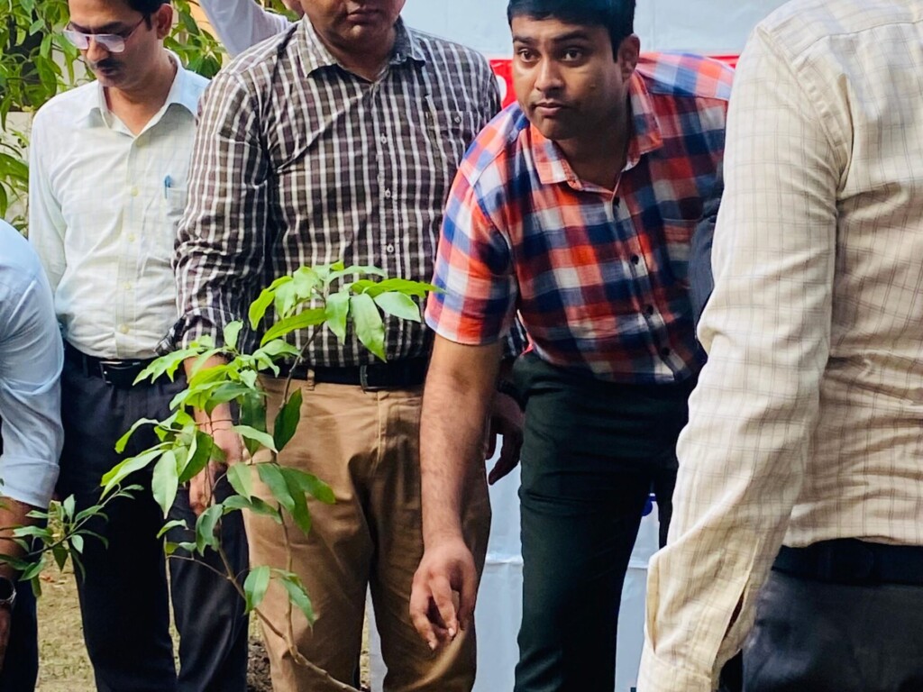 Mass Image Compressor, Quality:80