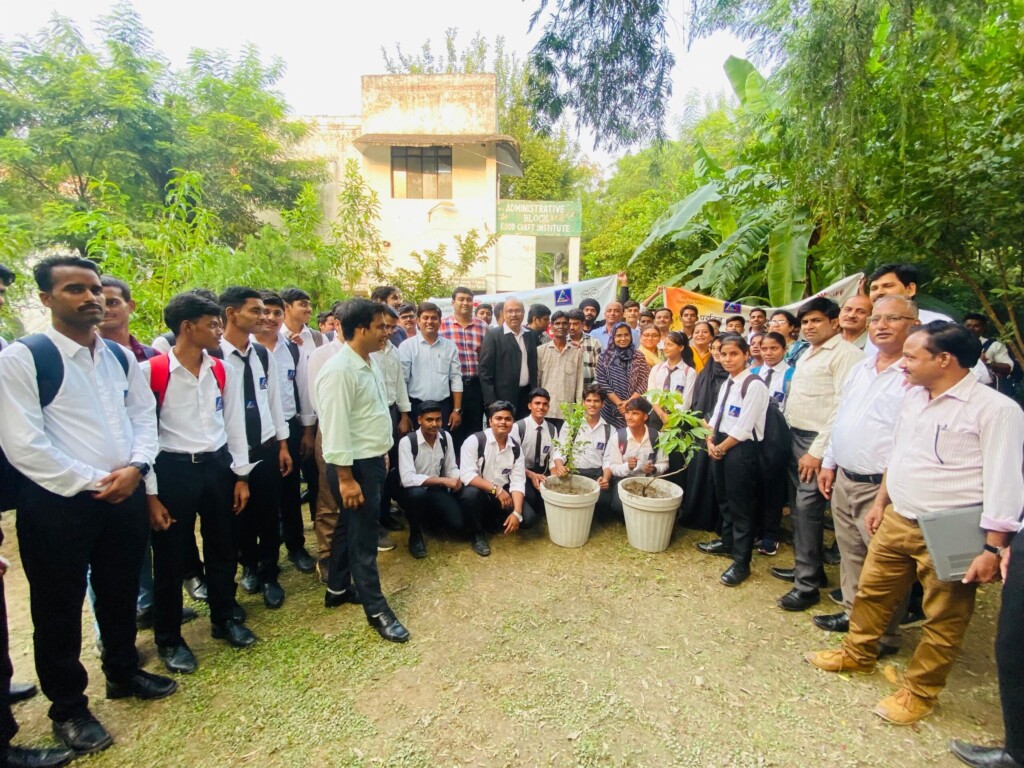 Mass Image Compressor, Quality:80