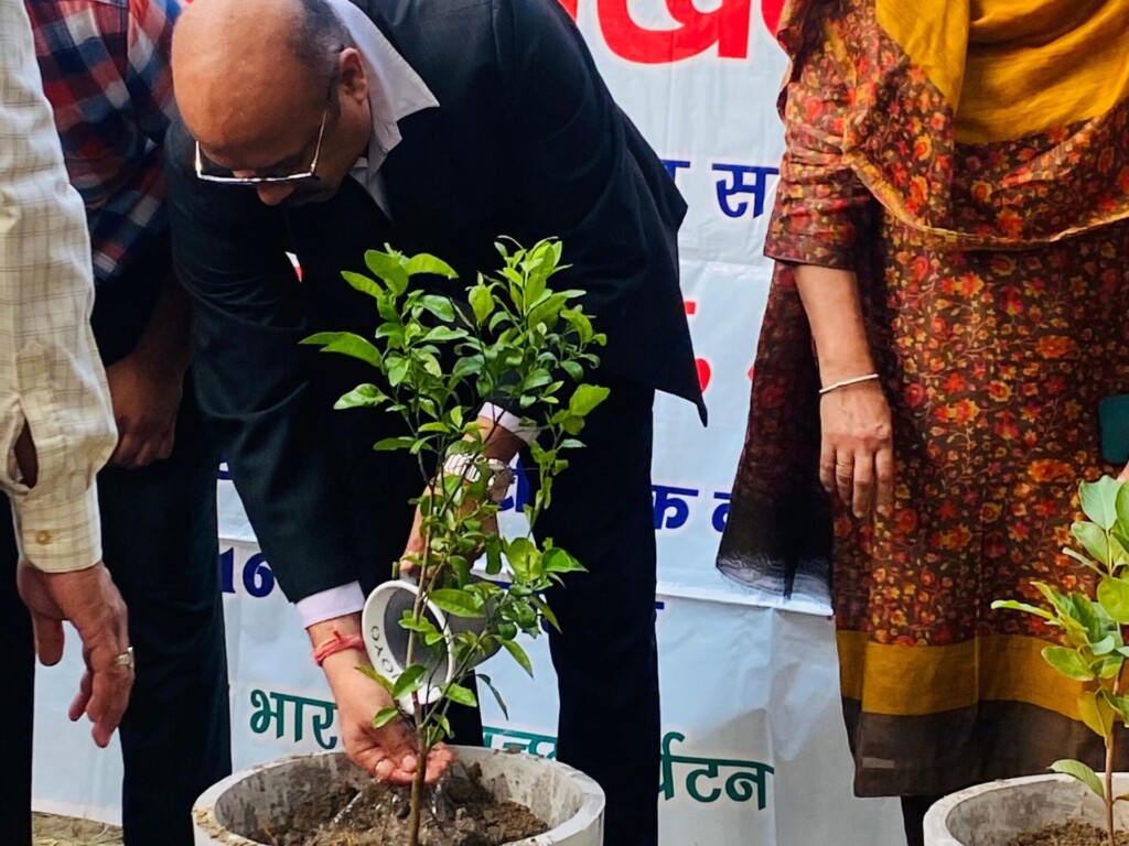 Mass Image Compressor, Quality:80