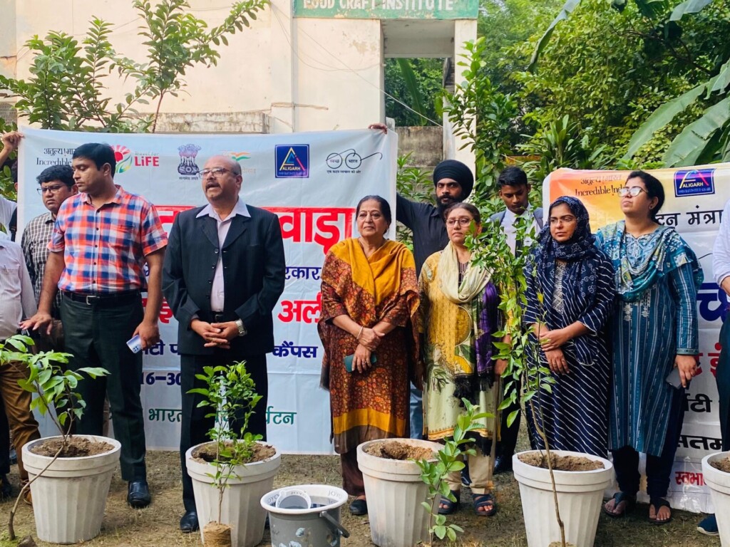 Mass Image Compressor, Quality:80