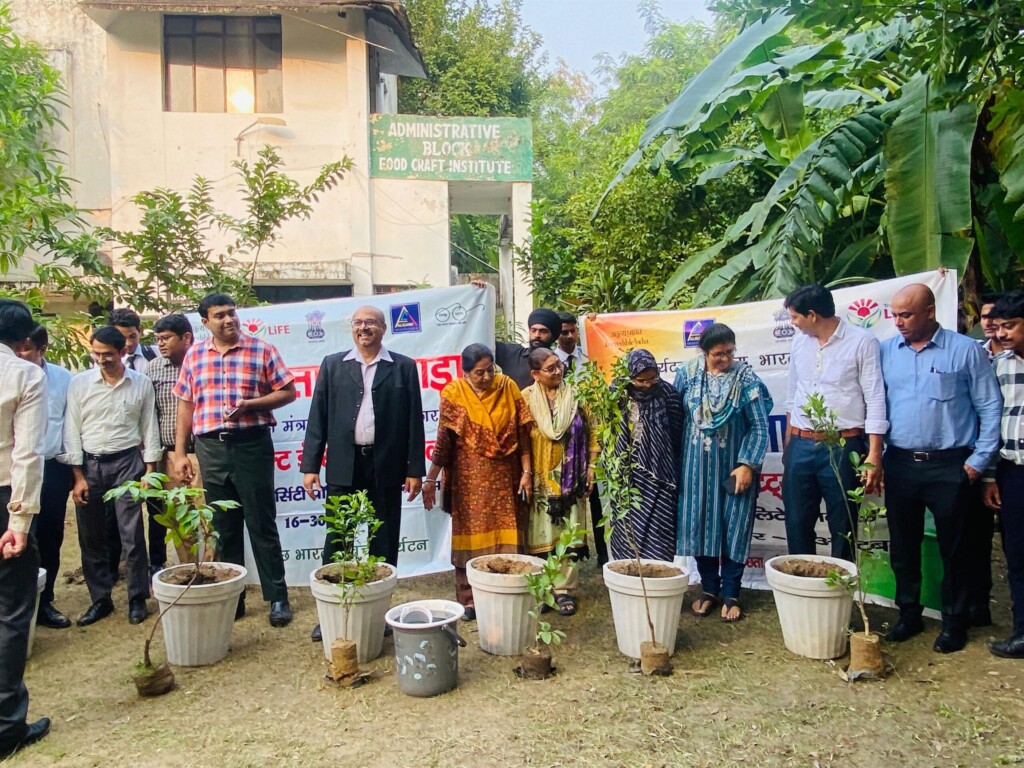 Mass Image Compressor, Quality:80