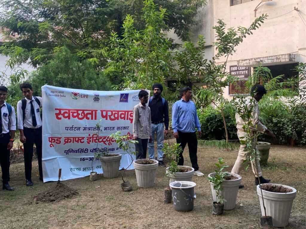 Mass Image Compressor, Quality:80