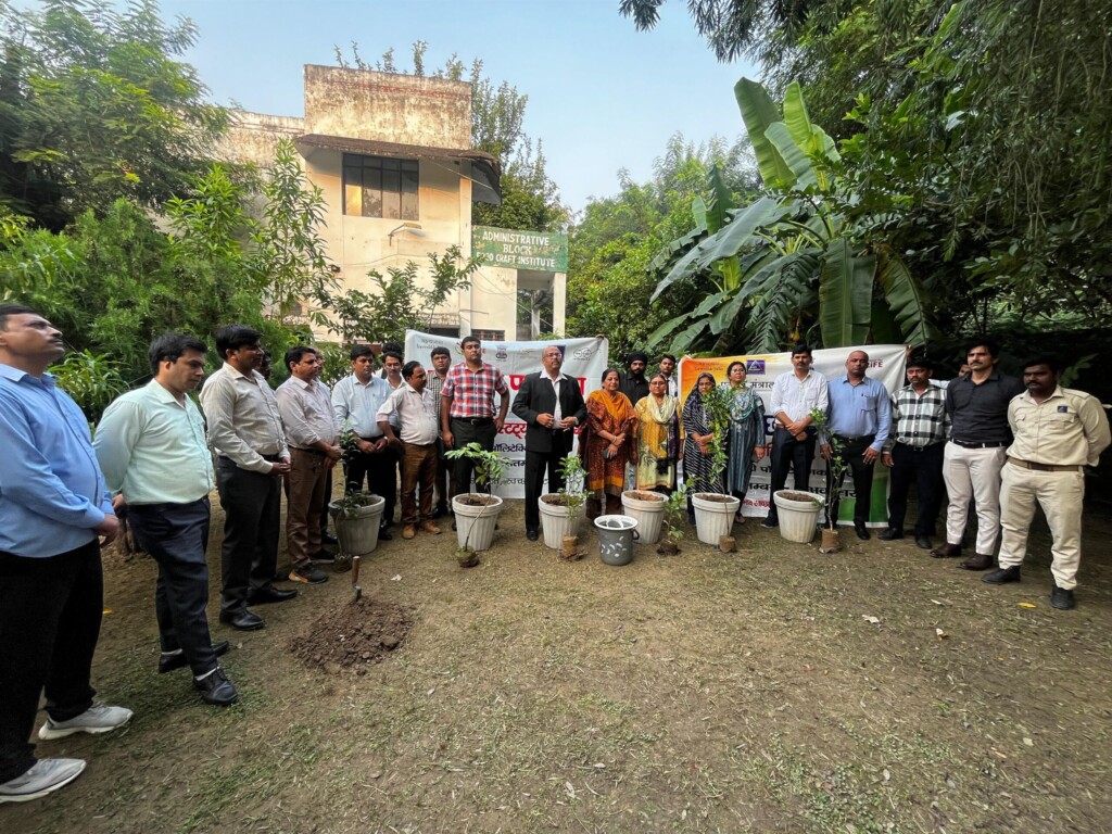 Mass Image Compressor, Quality:80