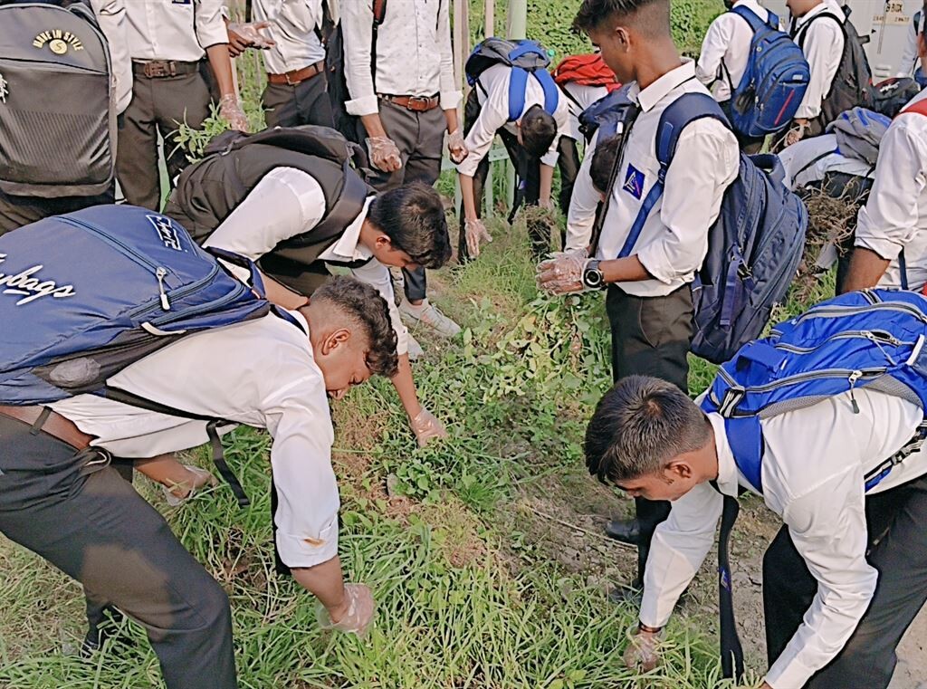 Mass Image Compressor, Quality:80